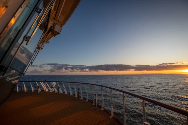 Ant img 5100 230220 min