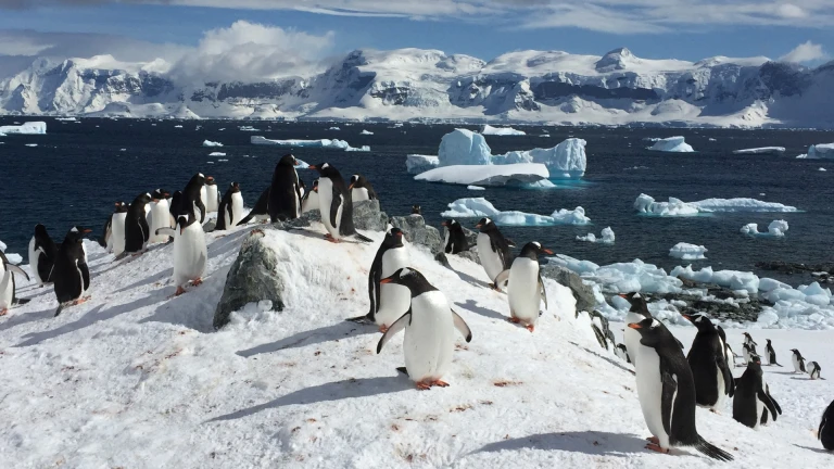 Antarktis vertrag 02