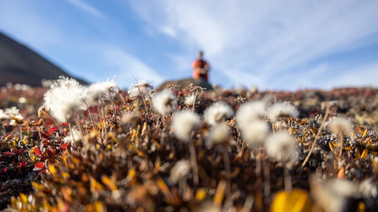Bezaubernde orte die sie auf einer groenland expeditionskreuzfahrt erleben solltenkristina hillemann groenland expeditionskreuzfahrt 02