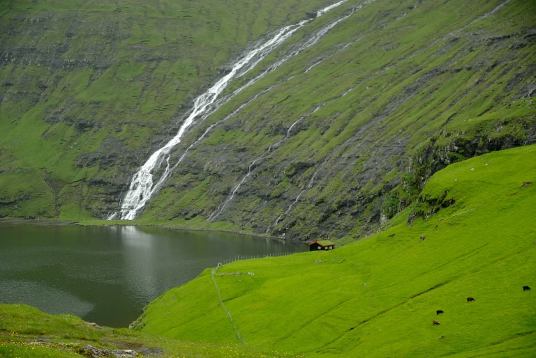 Die faeroeer inseln ein mystisches naturparadies zwischen tradition und modernejacqueline macou  faroe islands 482206 1920