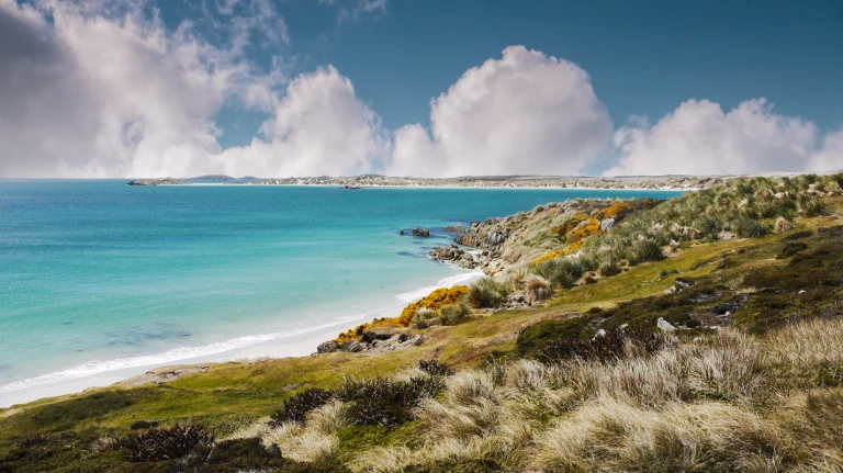 Die falklands ein spannendes inselabenteuerfalkland shutterstock 705652762