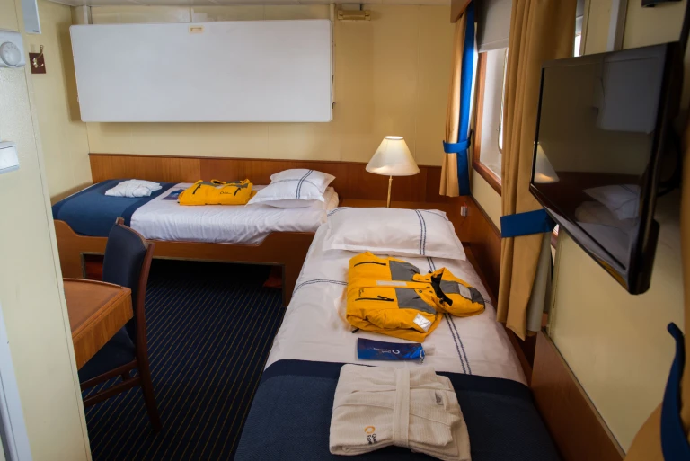 Ocean adventurer superior kabinequark expeditions ocean adventurer superior cabin 309 8476 scaled