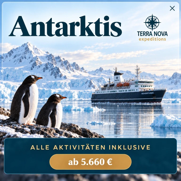 Terranova expeditions popup