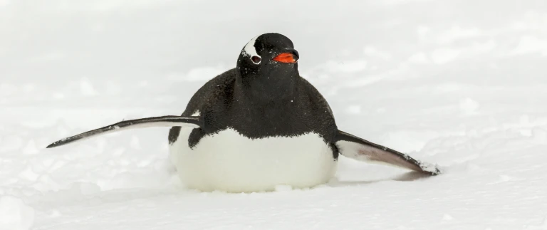 Antarktis basecamp181114 100353 antarktis 2 scaled aspect ratio 1500 630 3 scaled