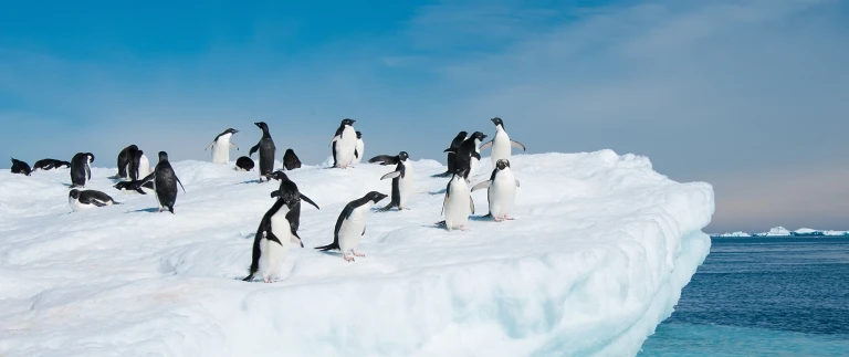 Antarktis basecampshutterstock 114546559 scaled aspect ratio 1500 630 8 scaled