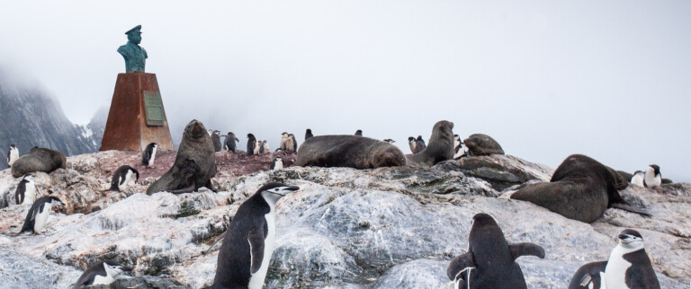Antarktis elephant island weddellmeer polarkreiselephant island aspect ratio 1500 630