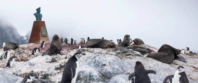 Antarktis elephant island weddellmeer polarkreiselephant island aspect ratio 1500 630