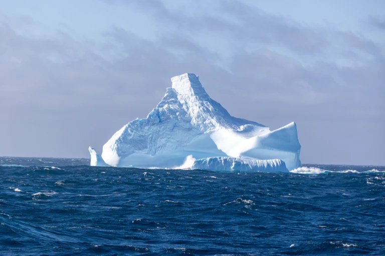 Antarktis intensiv mit scenic eclipse0k1a4947