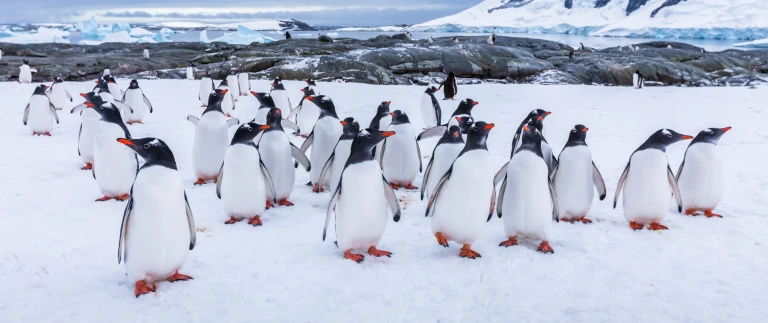 Antarktische halbinsel incl antarctic sundshutterstock 1416843179 scaled aspect ratio 1500 630 3 scaled