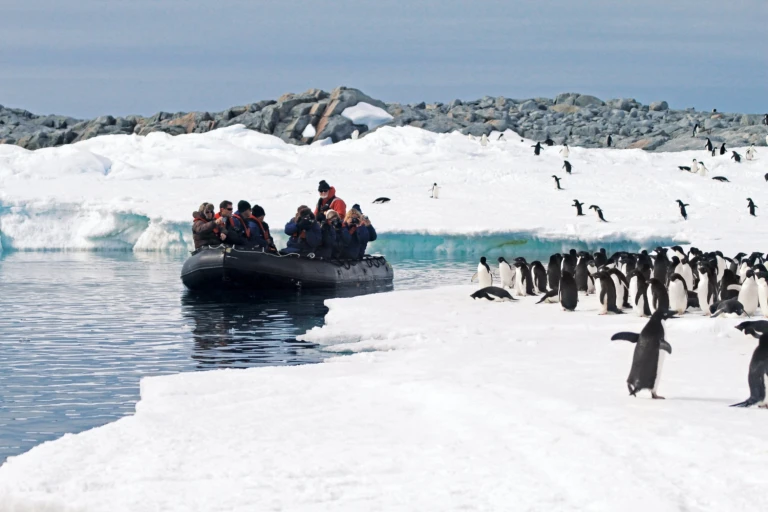 Auf den spuren von scott und shackleton rossmeer antarktis(c)kovsyanikova adelie penguins min 1696847390