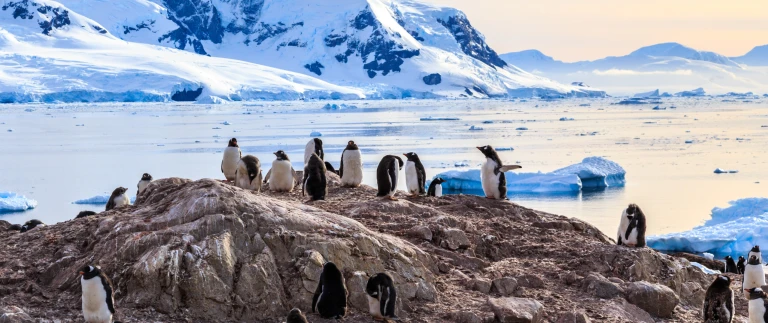 Auf den spuren von shackleton und der enduranceshutterstock 556606075 scaled aspect ratio 1500 630 4 scaled