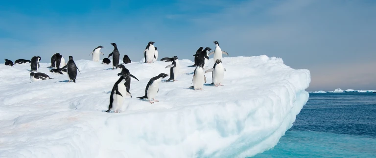 Breitengrad 66 jenseits der magischen grenzeshutterstock 114546559 scaled aspect ratio 1500 630 6 scaled