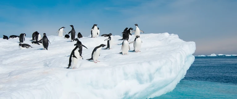 Chilenische fjorde und die antarktisshutterstock 114546559 scaled aspect ratio 1500 630 7 scaled