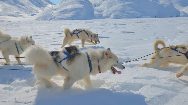Das unerforschte meereis von nordost groenlandsirius patrouille