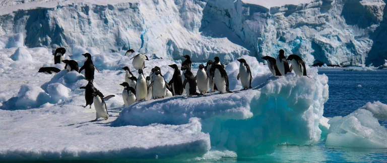 Das weddell meer und larsen schelfeisshutterstock 1707254251 scaled aspect ratio 1500 630 5 scaled