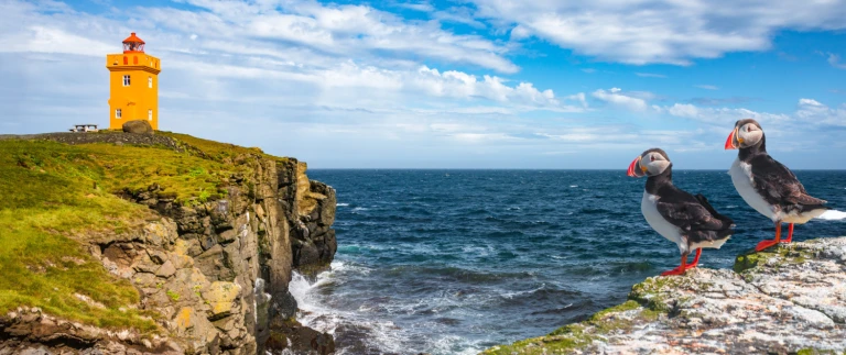 Der geschmack von norwegen und island mit scenic eclipseshutterstock  grimsey island papageientaucher scaled aspect ratio 1500 630 scaled