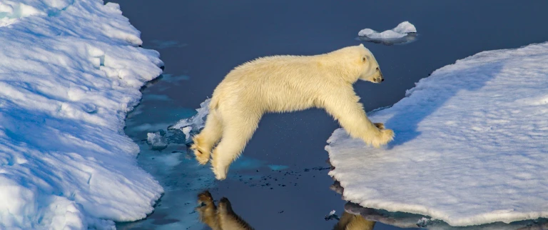 Die ultimative spitzbergen expedition 2img 3998 scaled aspect ratio 1500 630 scaled