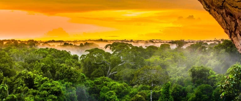 Expedition amazonas stromaufwaerts verborgene seiten einer fluss legende hanseatic nature von belem nach iquitosamazonas 6 aspect ratio 1500 630