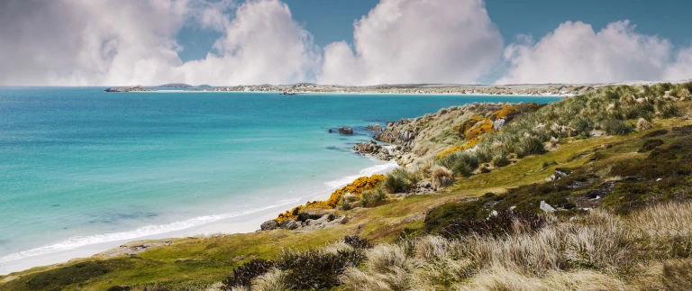 Expedition antarktis und falkland inseln kurs suedfalkland shutterstock 705652762 scaled aspect ratio 1500 630 3 scaled