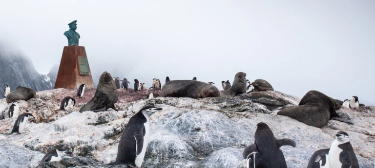 Expedition antarktis wunder mit kap hoorn hanseatic spirit von puerto montt nach ushuaiaelephant island