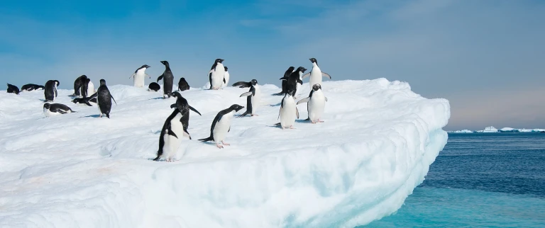 Expedition antarktis wunder mit kap hoorn hanseatic spirit von puerto montt nach ushuaiashutterstock 114546559 scaled aspect ratio 1500 630 11 scaled