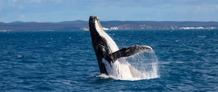 Expedition azoren und madeira geheimtipps inmitten des atlantiks mit hapag lloyd cruiseswal azoren aspect ratio 1500 630
