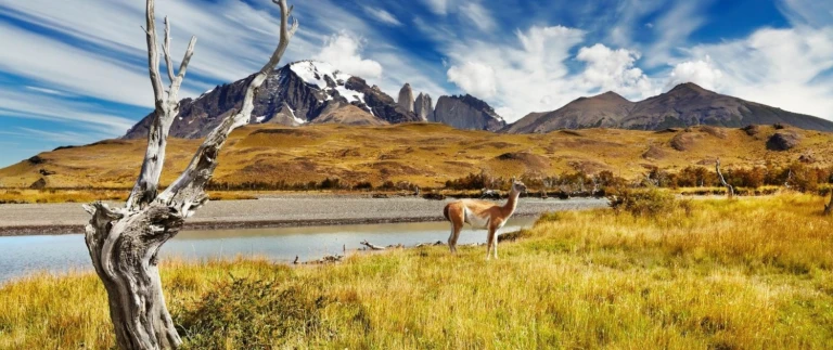 Expedition chilenische fjorde gignatisches bilderbuch der evolution mit hapag lloyd cruisestorres del paine al paka aspect ratio 1500 630