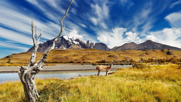 Expedition chilenische fjorde urzeit labyrinth am ende der welt hapag lloyd cruises hanseatic inspiration von valparaiso nach ushuaiatorres del paine al paka