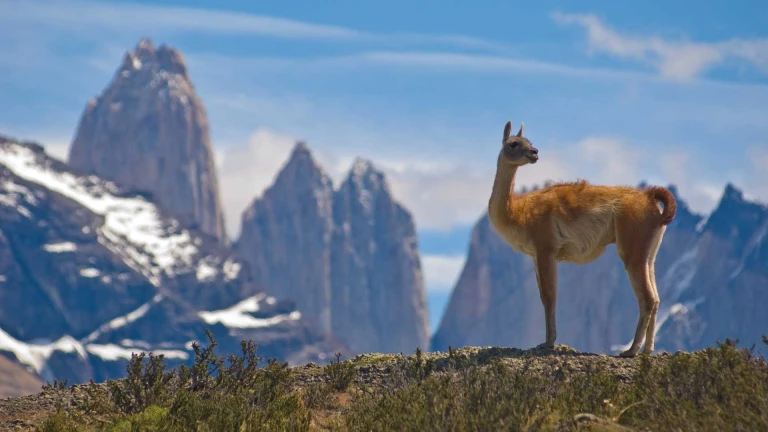 Expedition chilenische fjordepatagonien