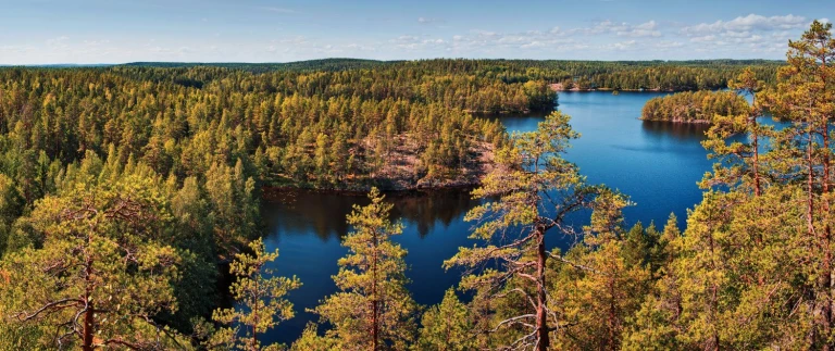 Expedition indian summer in lappland zur ruska in den hohen norden mit hapag lloyd cruiseslappland