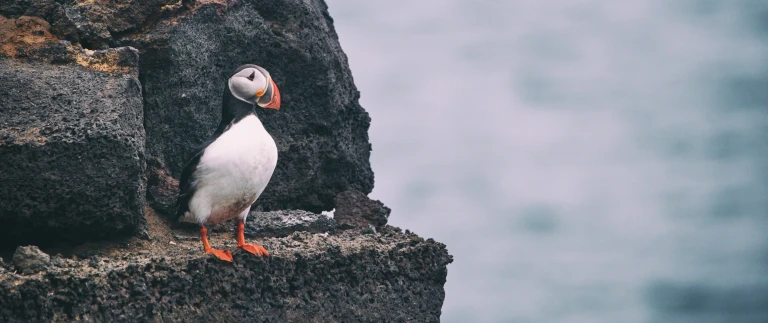 Expedition island und faeroeer inselnjonatan pie 124318 unsplash scaled aspect ratio 1500 630 1 scaled