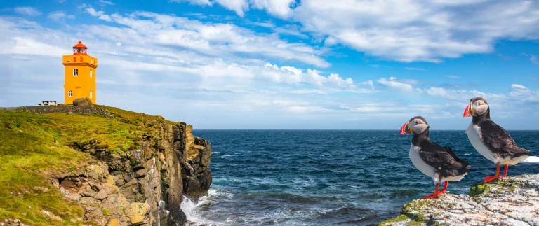 Expedition island und spitzbergen ungezaehmte natur des nordens hanseatic nature von reykjavik nach longyearbyenshutterstock  grimsey island papageientaucher 1500x630