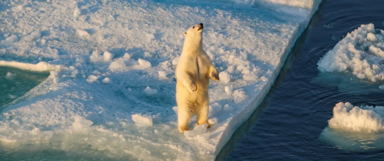 Expedition kanadische arktis und nordwestgroenland arktis abenteuer im namen grosser entdecker mit hapag lloyd cruisesimg 3243 scaled aspect ratio 1500 630 3 scaled