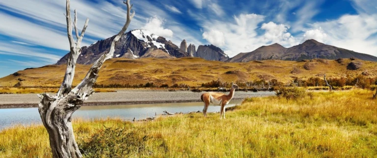 Expedition patagonien und chilenische fjordetorres del paine al paka aspect ratio 1500 630 1