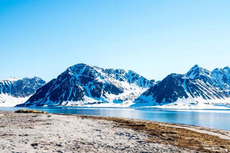 Expedition spitzbergen island und groenland trilogie polarer sehnsuchtszieless ark 20 3 1 1