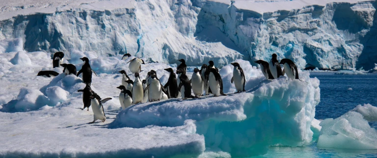 Expedition von kap zu kap expeditionstraum am ende der weltshutterstock 1707254251 scaled aspect ratio 1500 630 6 scaled