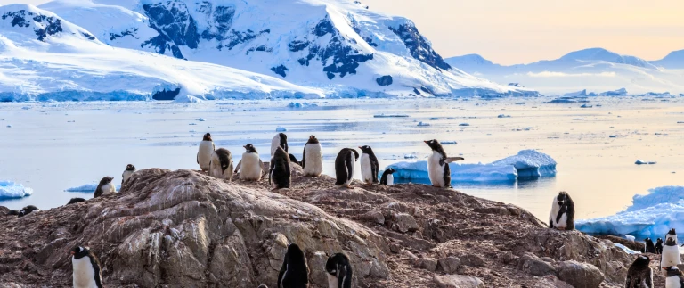 Expedition weddellmeer antarktische halbinselshutterstock 556606075 scaled aspect ratio 1500 630 2 scaled