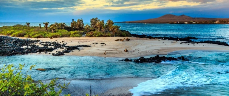 Expeditions seereise nach suedamerika machu picchu und galapagos inselngalapagos inseln aspect ratio 1500 630 1