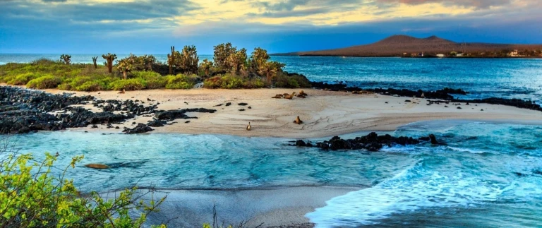 Expeditions seereise zum galapagos archipelgalapagos inseln aspect ratio 1500 630 2