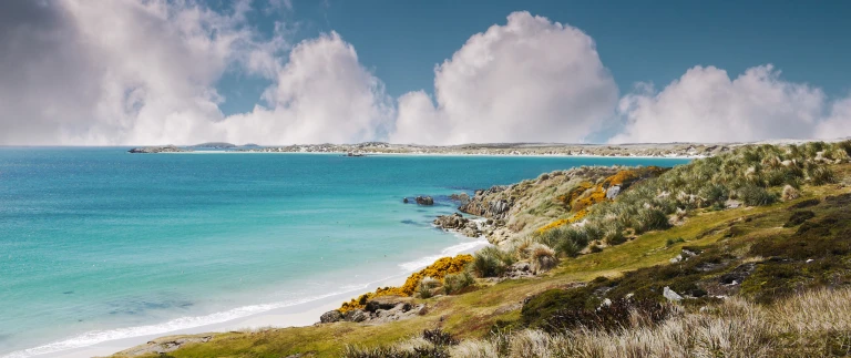 Falklandinseln suedgeorgien antarktis die ultimative naturexpeditionfalkland shutterstock 705652762 scaled aspect ratio 1500 630 scaled