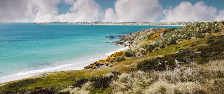 Fruehlingsexpedition falkland inseln suedgeorgien antarktische halbinselfalkland shutterstock 705652762 scaled aspect ratio 1500 630 4 scaled