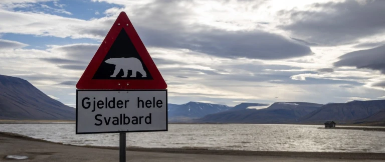Hurtigruten erkundung der arktischen inselwelt spitzbergen groenland und island13 reisebericht spitzbergen world voyager iii nlk aspect ratio 1500 630