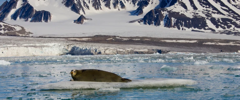 Hurtigruten spitzbergen im fruehling die rueckkehr der sonnefjordlandschaft aspect ratio 1500 630 1