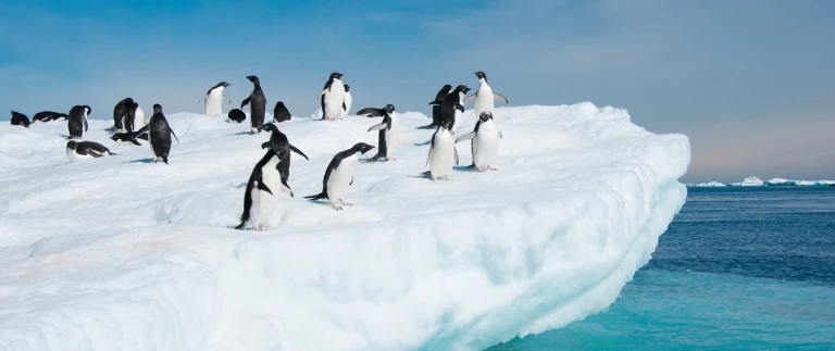 Klassiker der antarktisshutterstock 114546559 scaled aspect ratio 1500 630 scaled