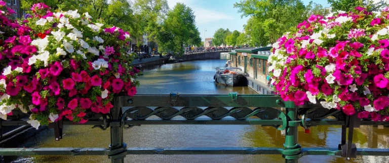 Kurzreise herbstfreude mit london trendziele fuer die kleine auszeit hanseatic spirit von hamburg nach hamburgamsterdam mabelamber aspect ratio 1500 630