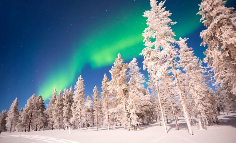 Musikalische silvesterreise im bottnischen meerbusenlappland
