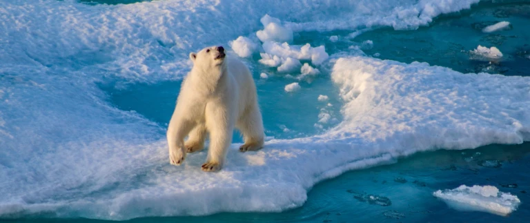 Nord spitzbergen arktischer fruehling wandern segelnimg 3375 scaled aspect ratio 1500 630 2 scaled