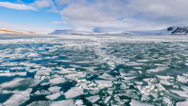 Nord und suedost spitzbergen sommersonnenwendepalanderbukta nordostland spitzbergen