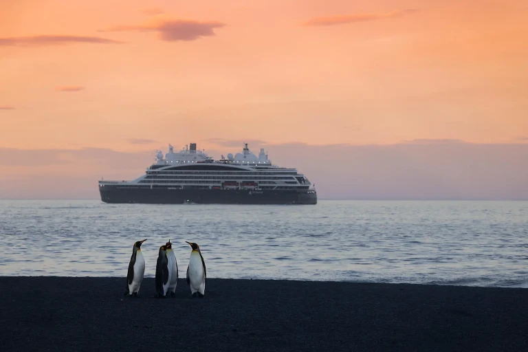 Pinguine an Küste mit Schiff von Ponant im Hintergrund