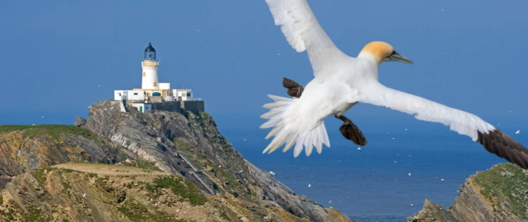 Schottische inseln historische pfade wildnis mit scenic eclipsemuckle flugga leuchtturm hermaness national nature reserve shutterstock scaled aspect ratio 1500 630 scaled